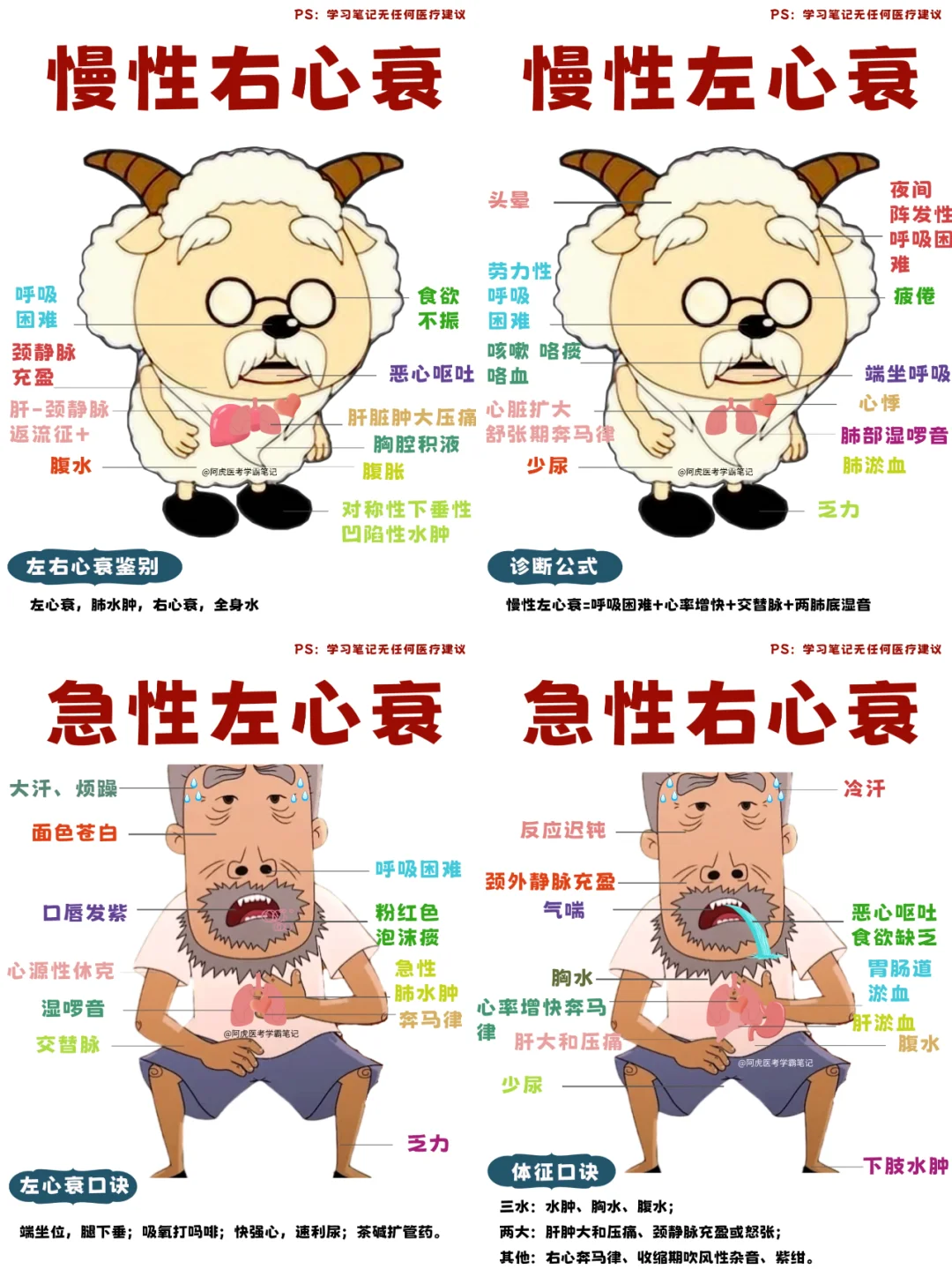 阿虎医考学霸笔记：❤️衰