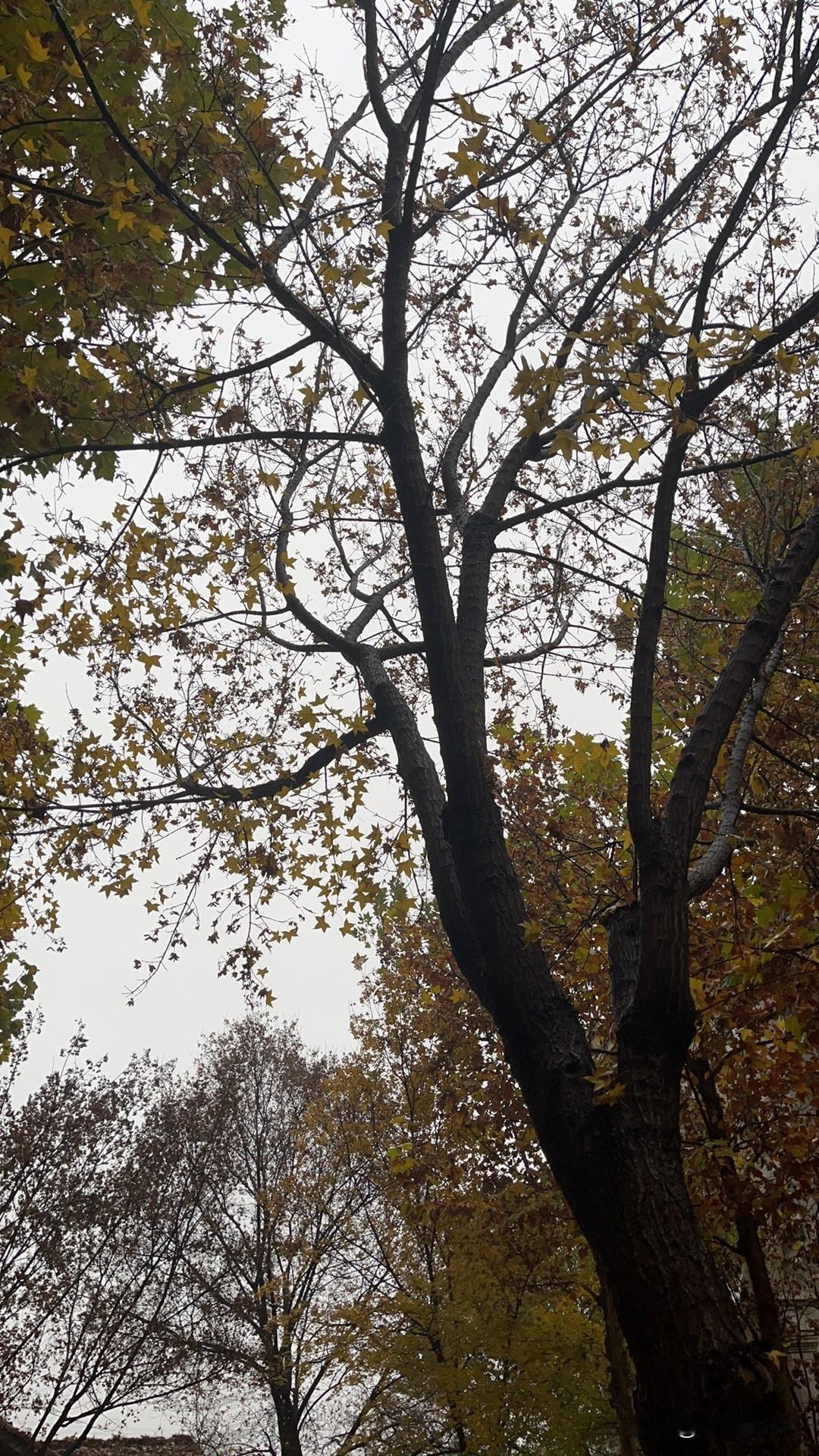 养车……其实就是烧钱！
不说油价上涨，不说检车，保养，平时的刮蹭……
你停在车库