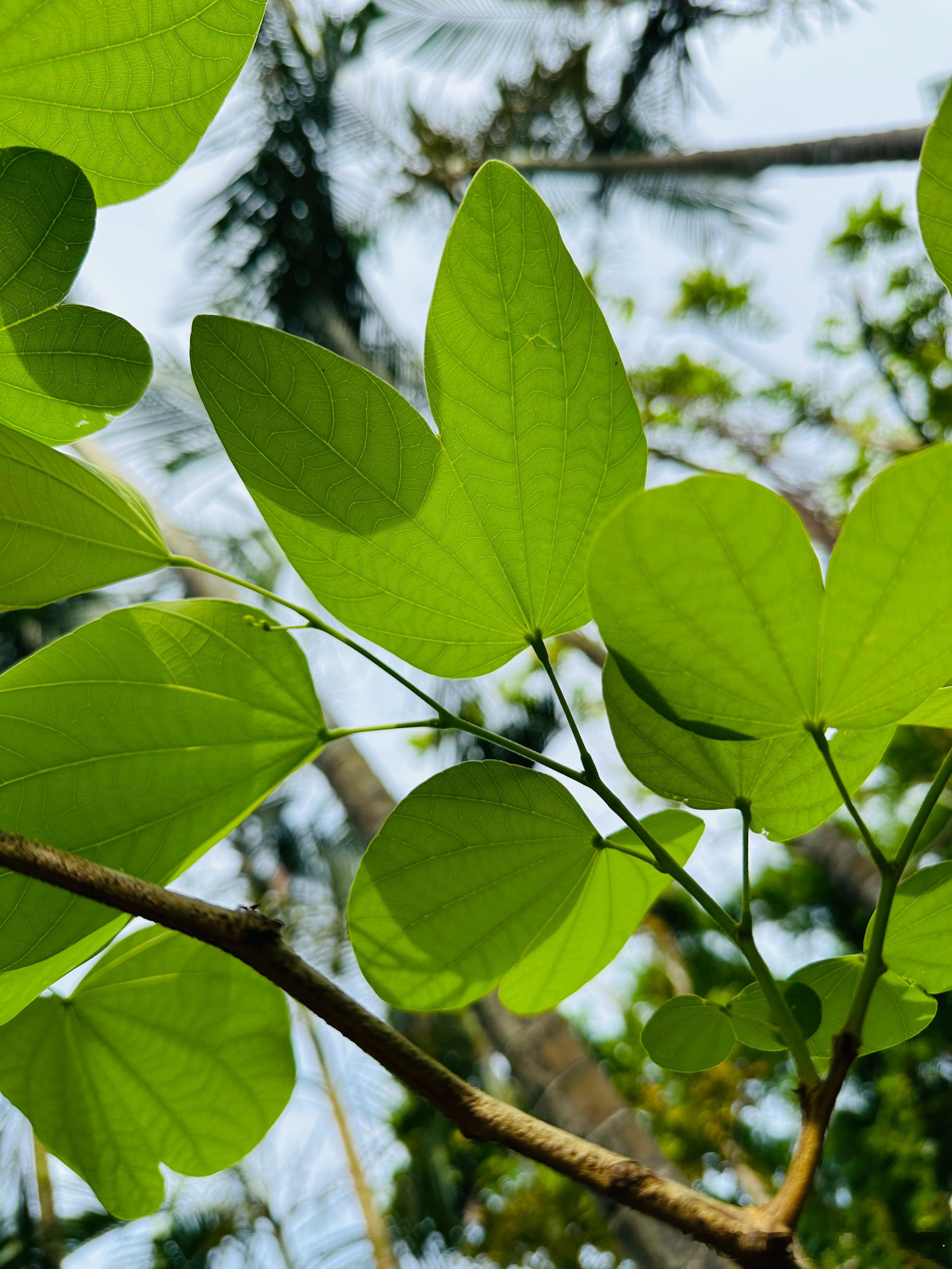放假了，本来想早上睡个懒觉，可是生物钟让我早早就醒了，那就索性到公园里走走吧。大