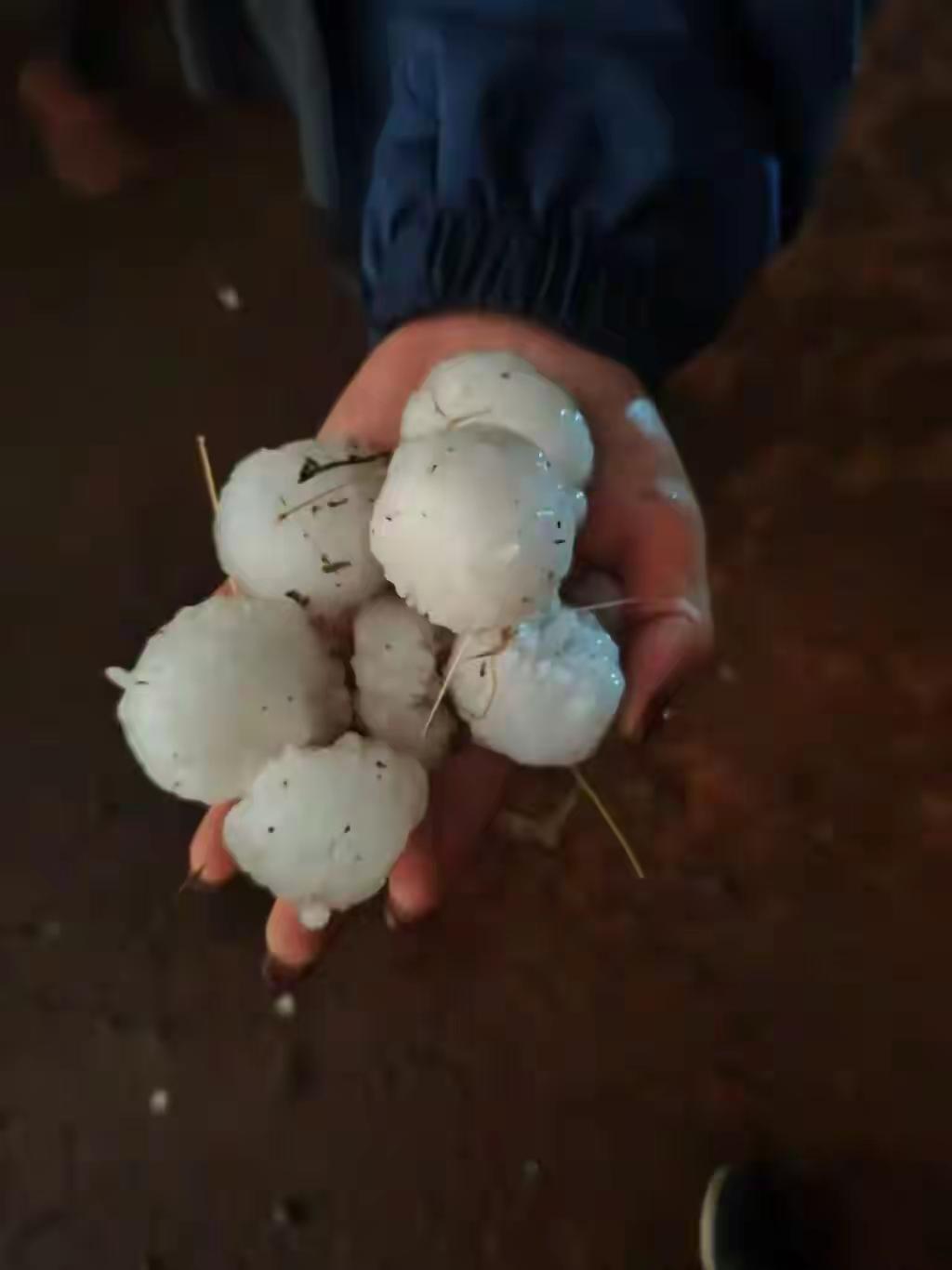 “昆明降下鸡蛋大冰雹”——这条消息一经发布，瞬间引爆了网络，成了朋友圈和微博的热