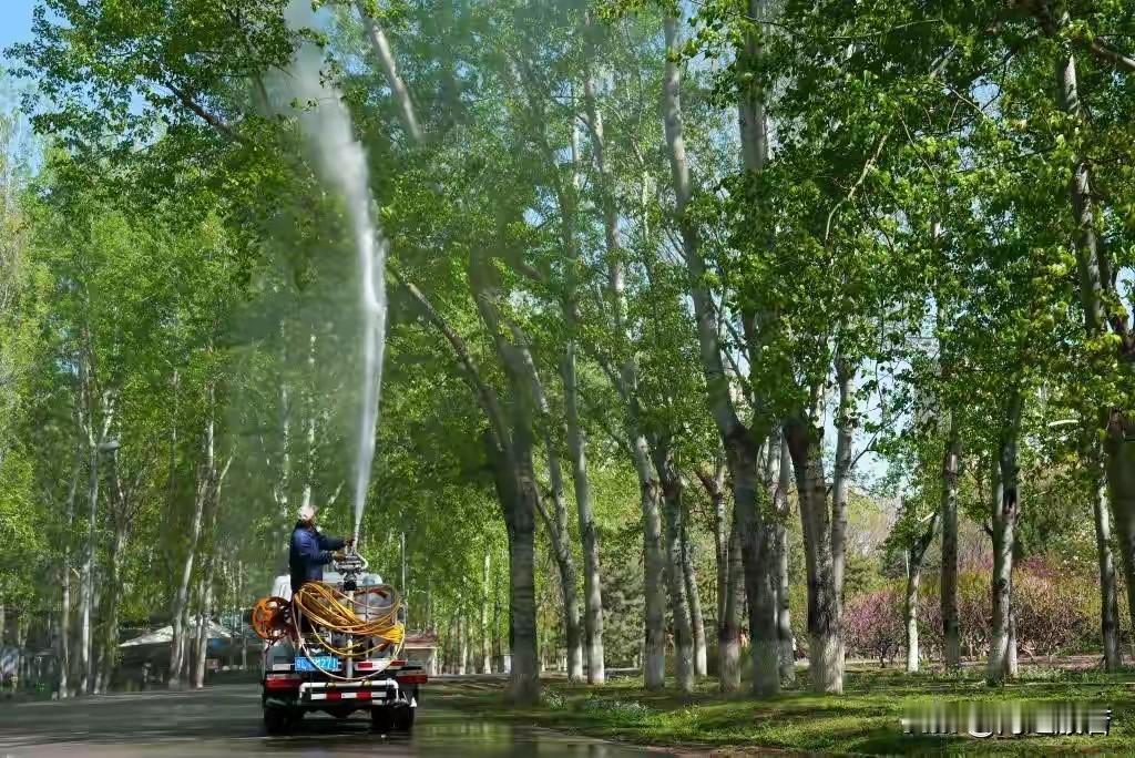 早上出门跑步，发现柳絮神奇地消失了，这让人有点意外，这柳絮也知道家里来客人吗，别
