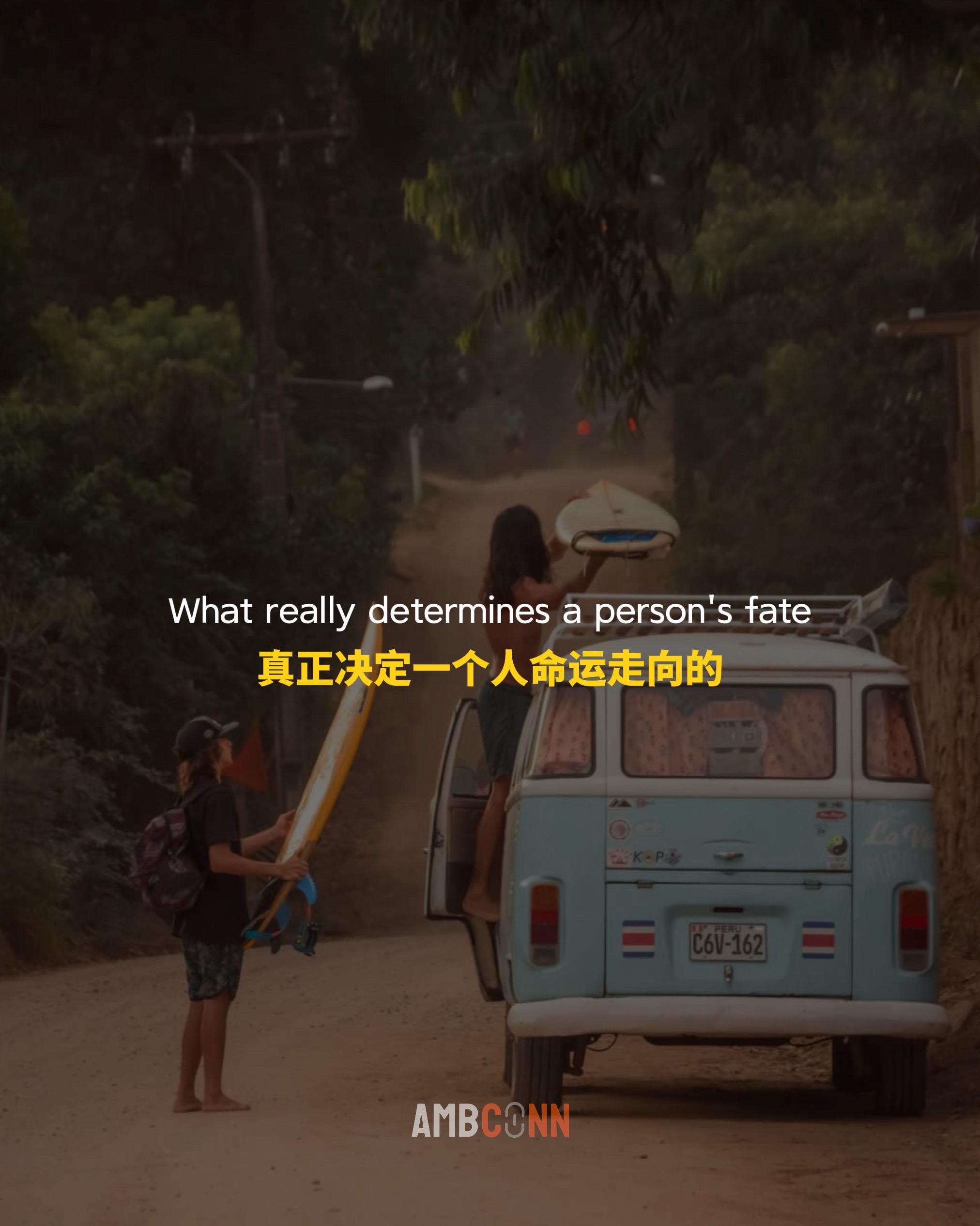 真正决定一个人命运走向的，并不是他经历了多少困难，而是在于他如何理解和...