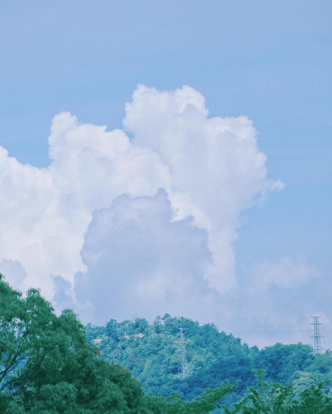 十分清醒的话：
“不与天争，万物皆有宿命；
不与事争，你争不过因果；
不与人争，