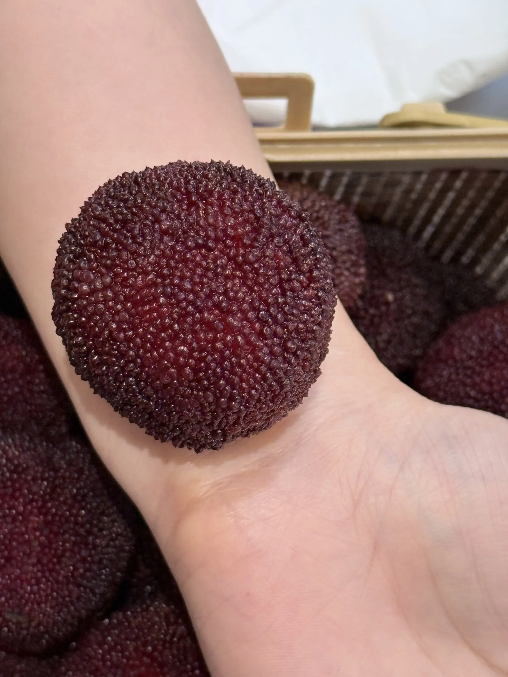 好大好大