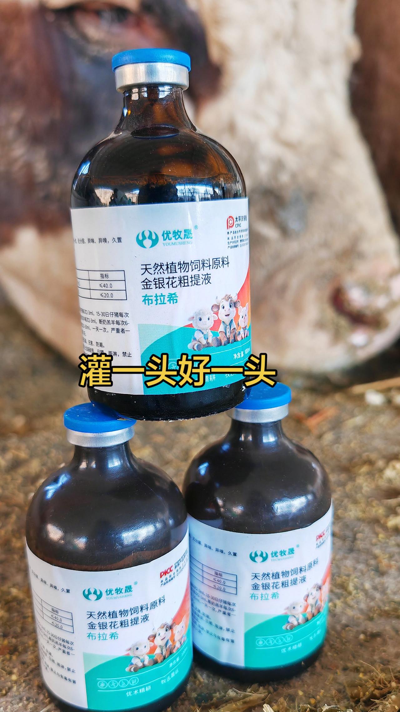 遇到牛羊拉稀就这样做养羊人 农村养羊