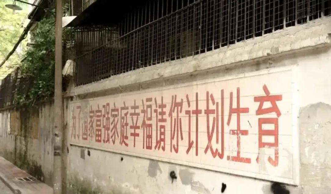 当年计划生育应该实行2胎政策。