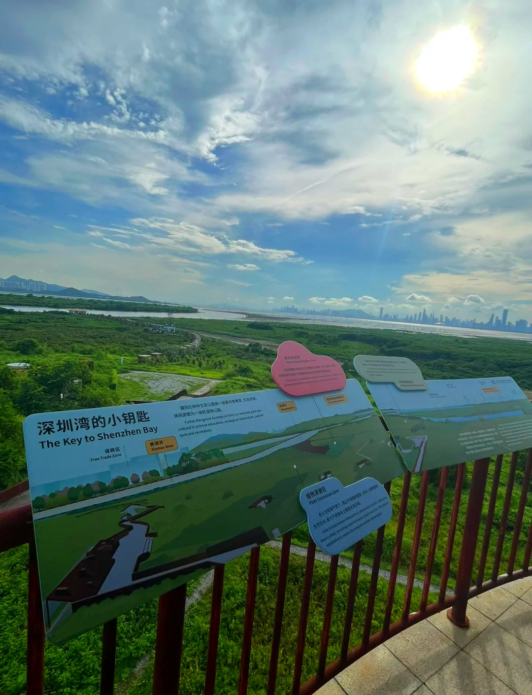 今天来了趟深圳湾红树林，挺有感触的，这里的变化就是我们生态治理的鲜活写照。早年深