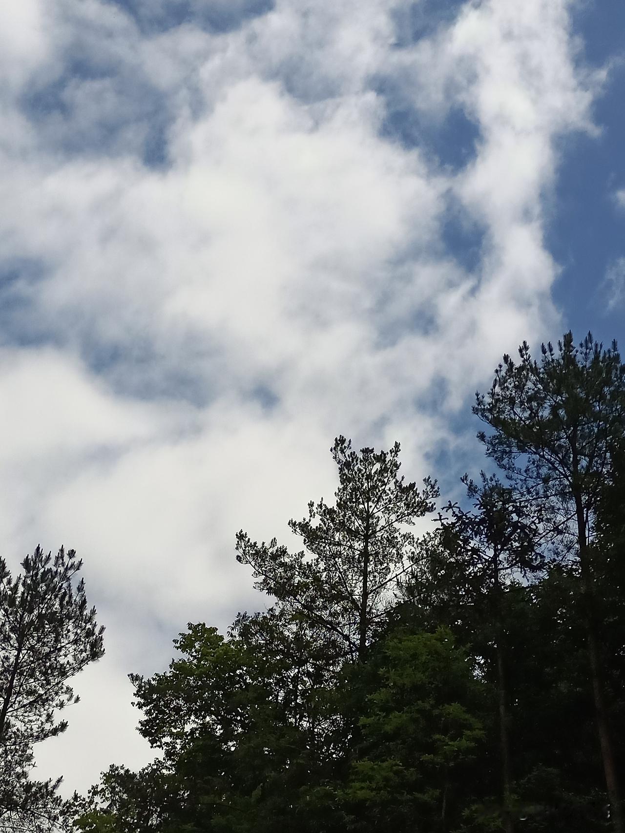 一个人要是一夜间白了头，你会相信吗？

40年前，我读初中时，有一位数学老师，5