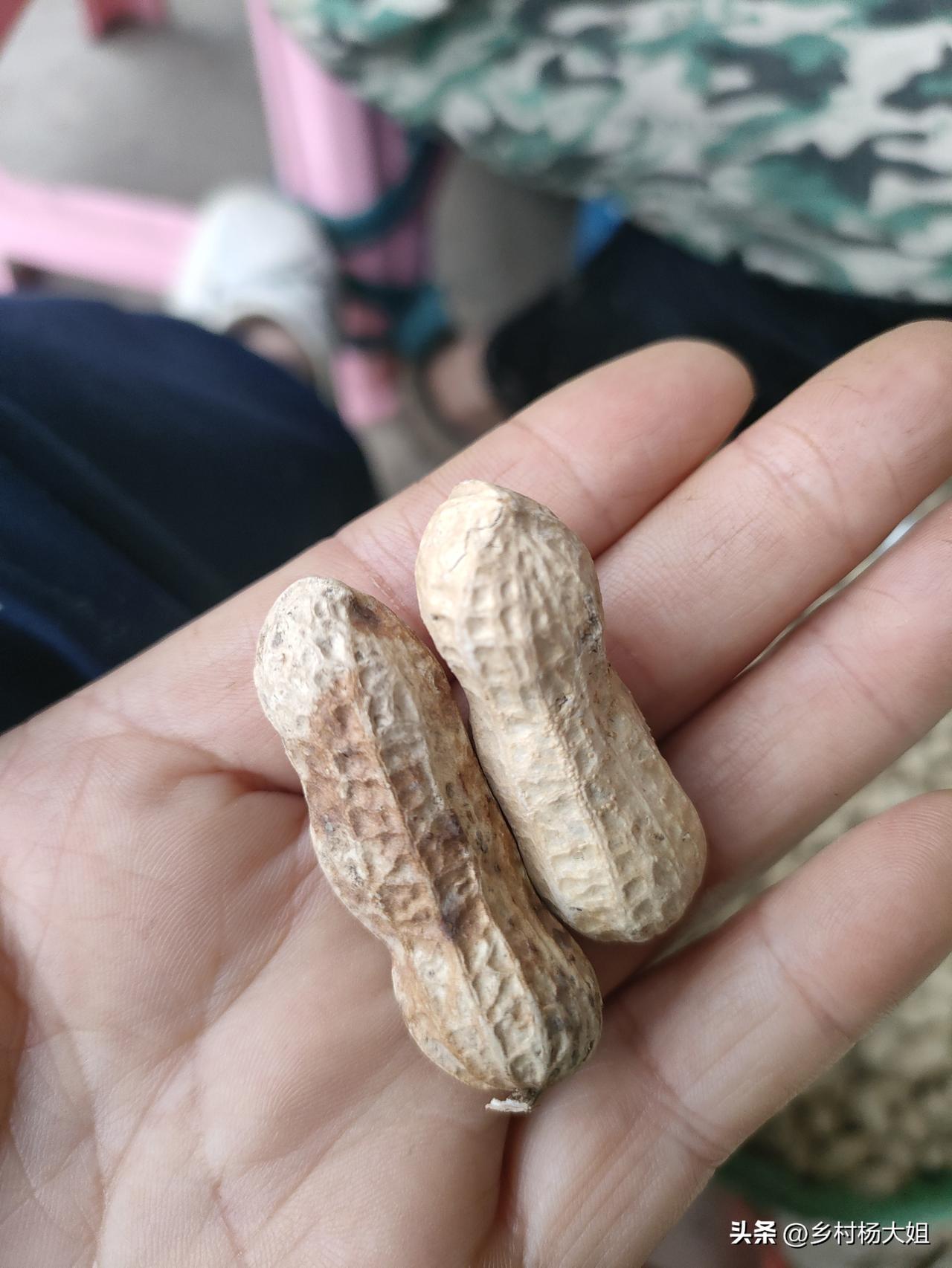 邻居婶婶真能干
屋外下着小雨，滴滴答答的，在床上躺了一天，傍晚起来做饭，到门口看