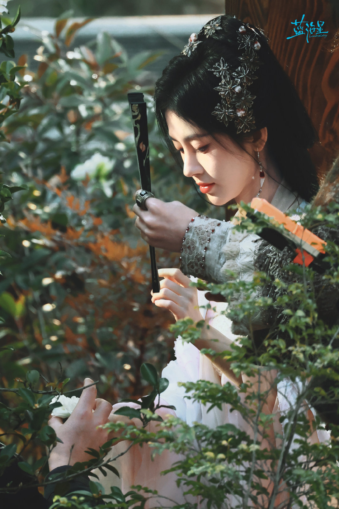 jjy鞠婧祎千香 jjy鞠婧祎姜黎非 “玫瑰之所以是玫瑰，是风与光的眷顾，更是视