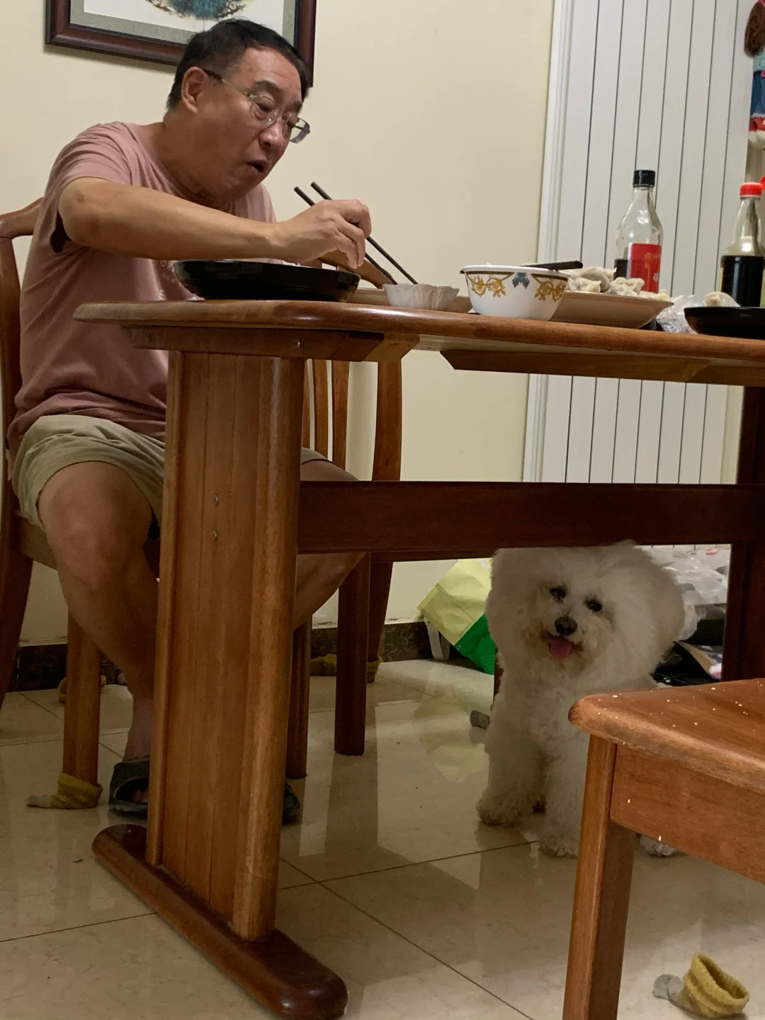 勤劳的小狗已经开始忙碌了😋