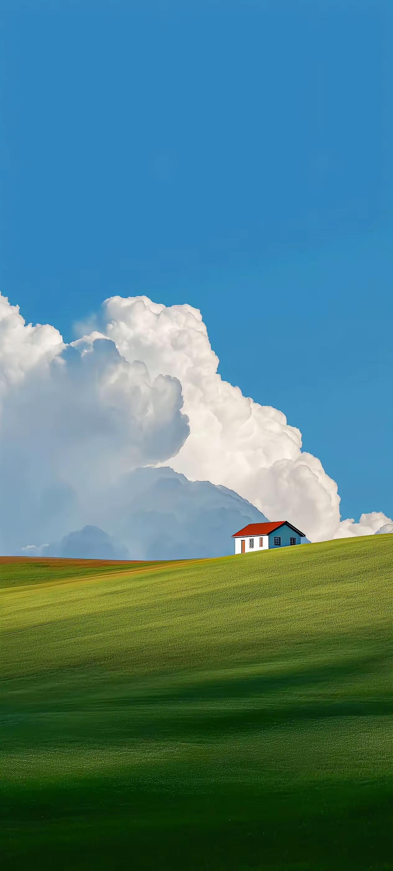 我是个心地善良的人。
今天，我在超市看到一位穿着光鲜的老太太偷东西。其实那东西也