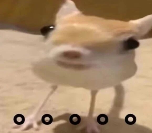 𝑺𝒉𝒂𝒓𝒆·表情包丨自带疯感的搞笑表情包分享 ​​​
