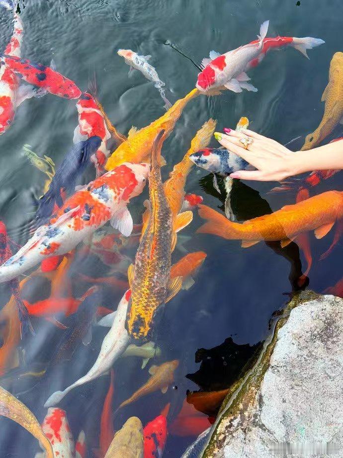 彭小苒露背一张比一张哇噻 新年被彭小苒的露背大片狠狠惊艳！那若隐若现的美背，线条