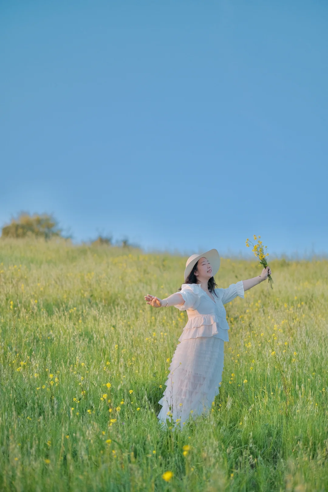 以为在欧洲！湾区山坡的油菜花海也太绝了