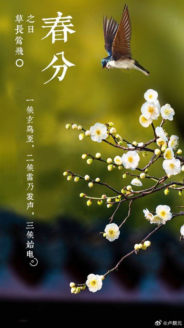 终于等到龙抬头，料峭春风吹酒醒。 