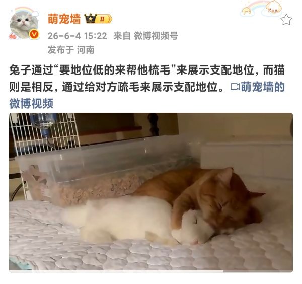 【2524】完全比点。。
