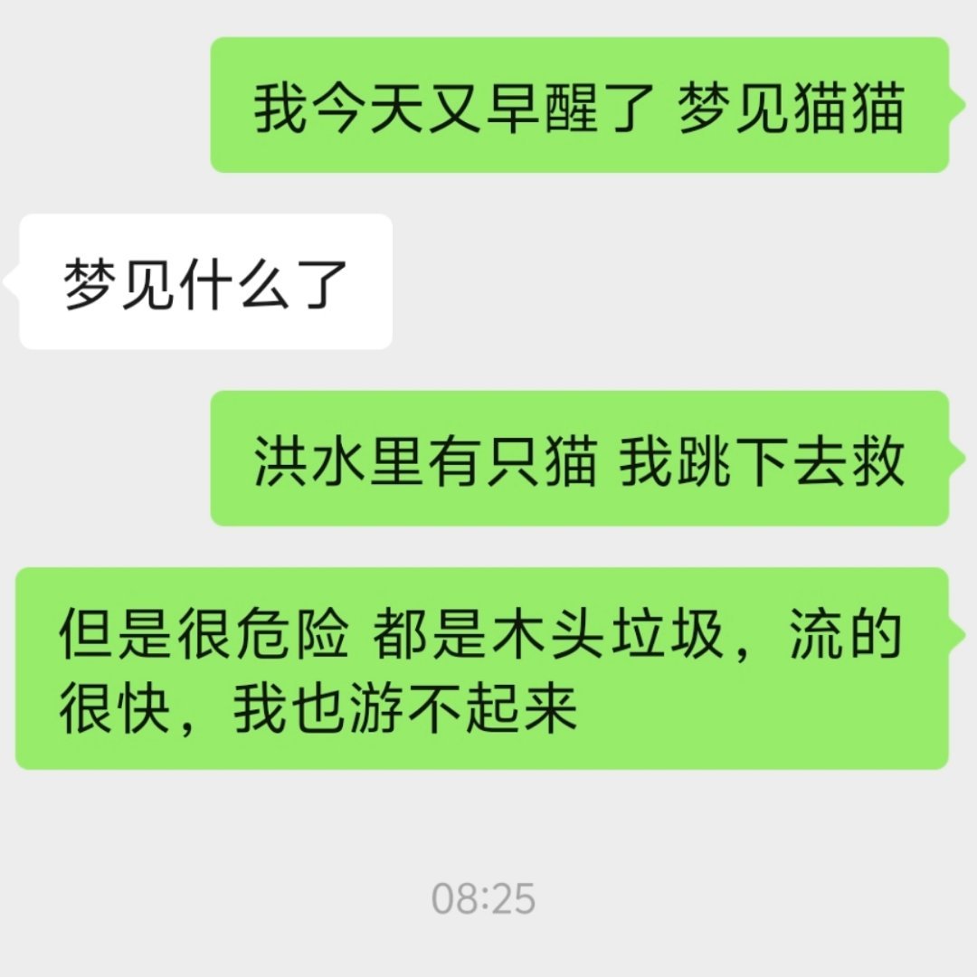 今早的梦 