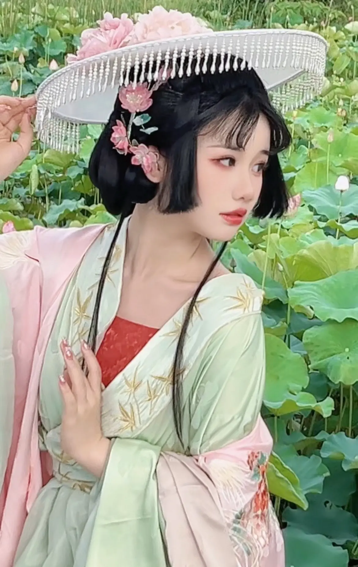 6月，荷花盛开
