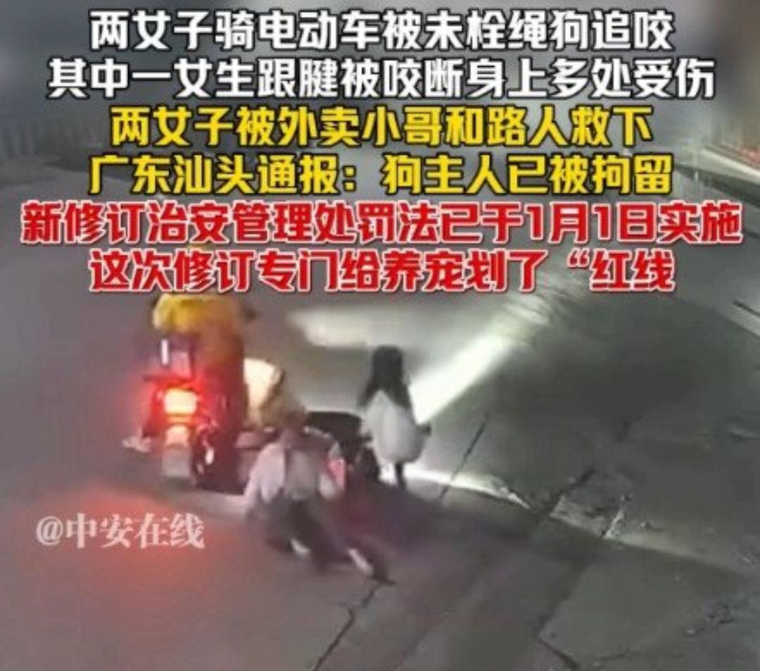 遛狗不拴绳，代价有多惨痛？
 骑着电动车正常赶路，却被恶犬疯狂追咬，其中一人竟被