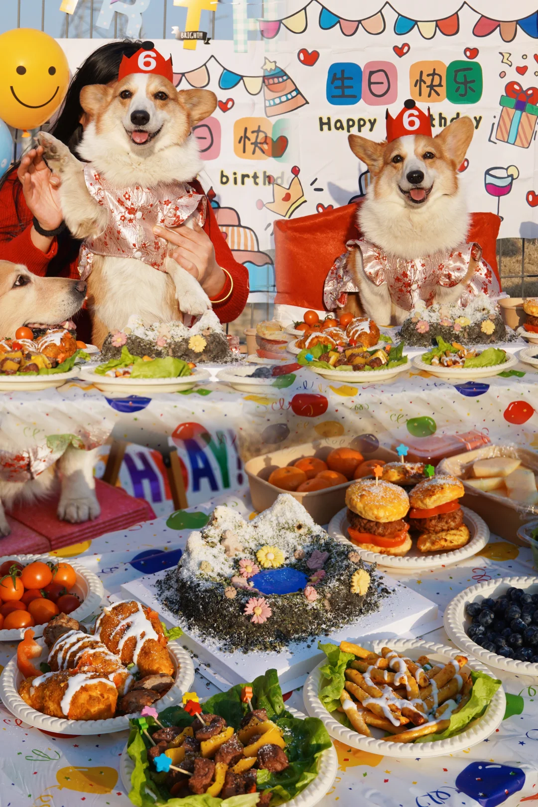 探索蓝星球第六年小狗要玩的开心生日快乐～