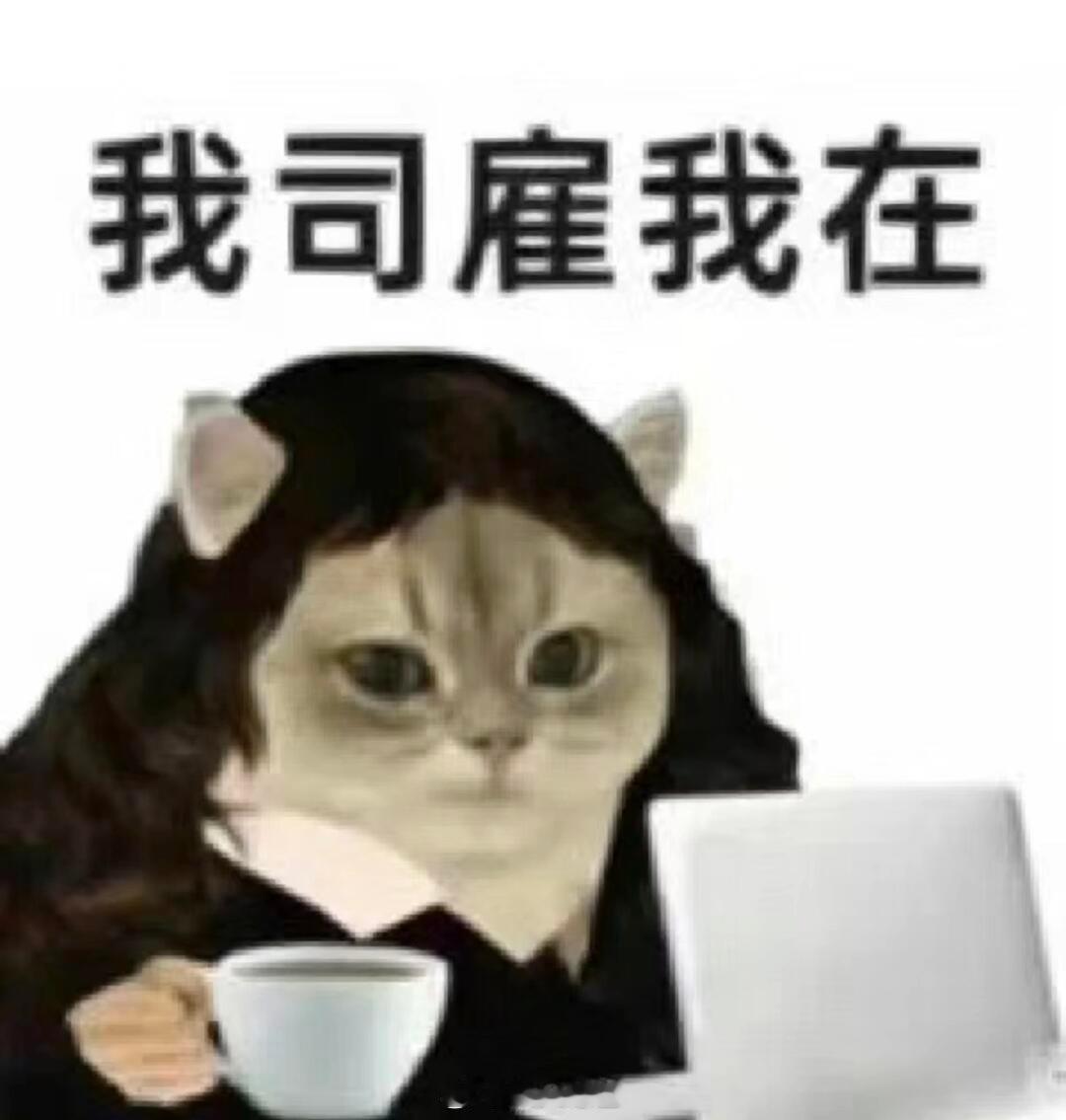 上班压力大⛰️ 用音乐为打工人 “解压”?宝子们，这个周末，喜力厦门泡泡岛音乐节