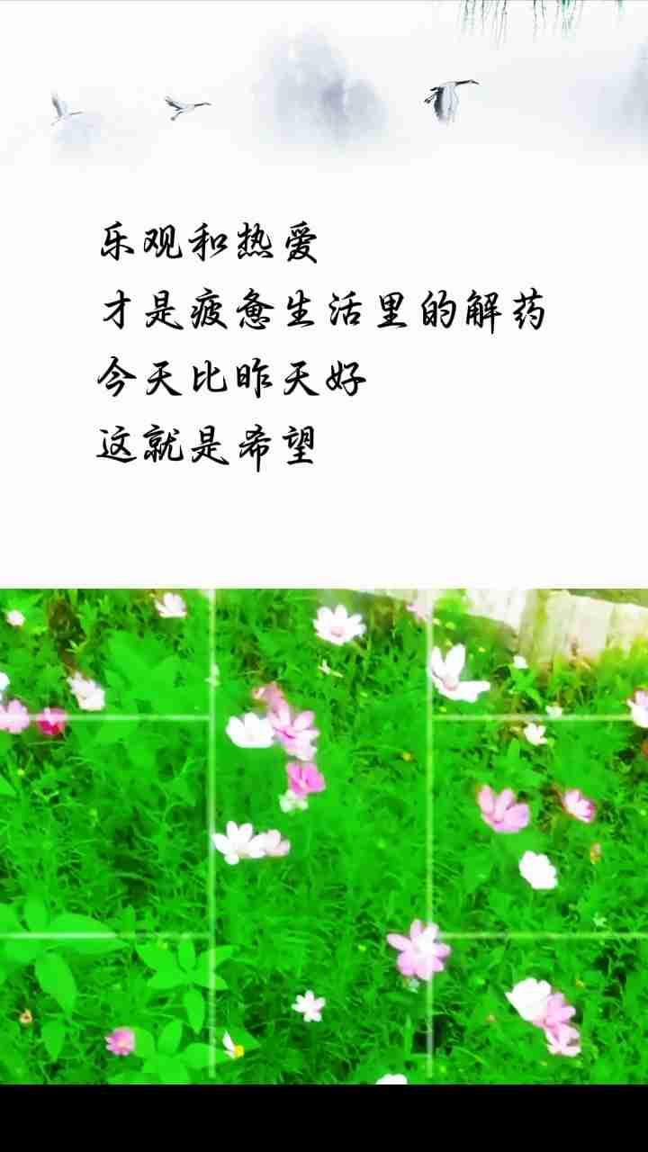 我的今日状态：😎自信酷炫
我这里的天气：🌈雨过天晴

人间是喧嚣的，
但你可