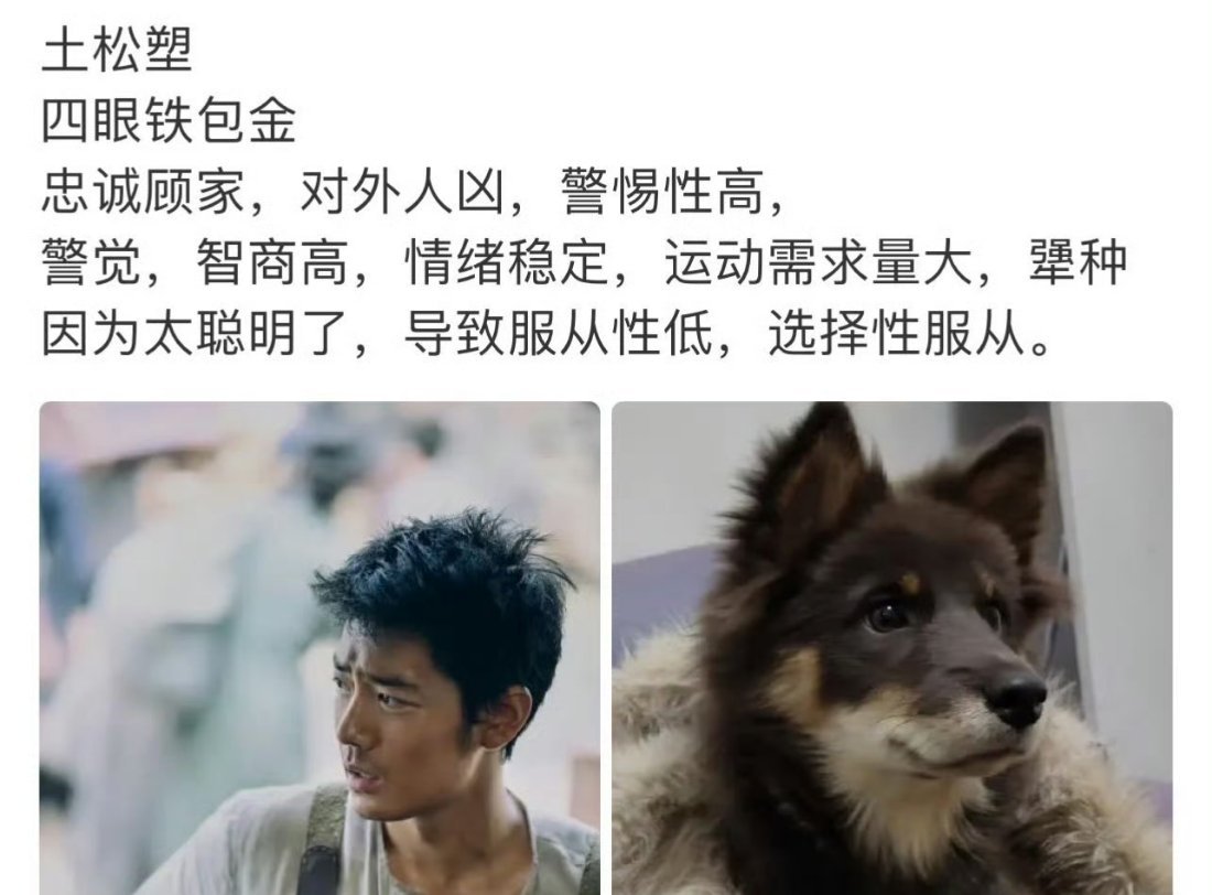 得闲谨制有自己的田园犬系男主 “做更好的家”太戳心，顶梁柱+忠犬，莫得闲人设超带