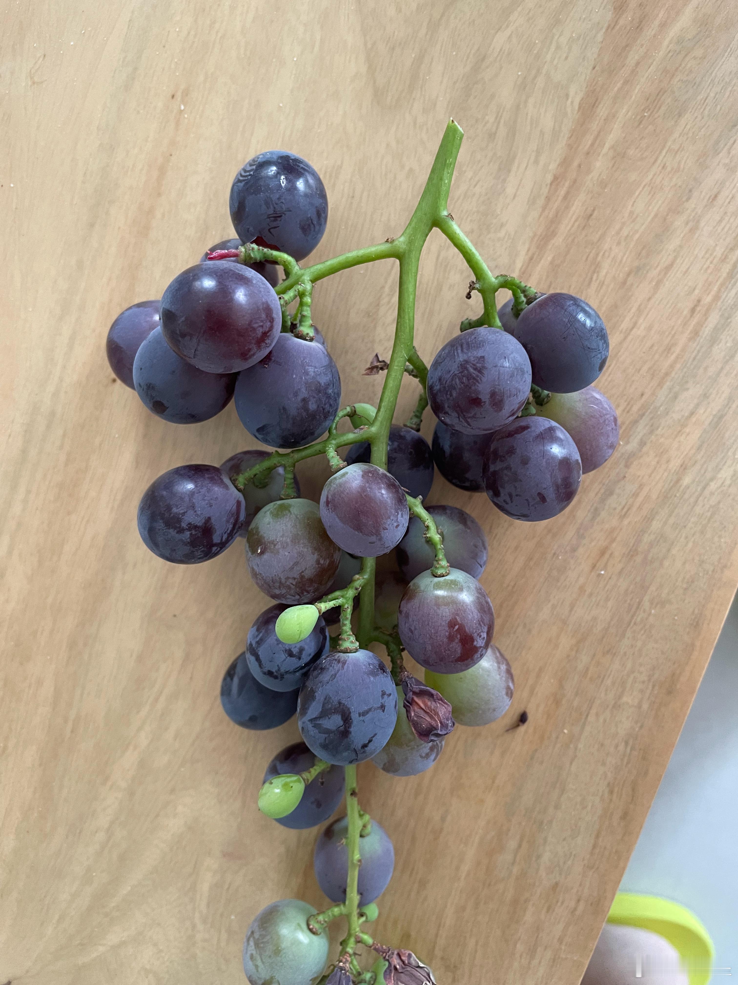 哇咔咔咔～葡萄🍇可以吃啦德国超市里一般的葡萄果肉都有点硬，这串巨峰葡萄，就是国