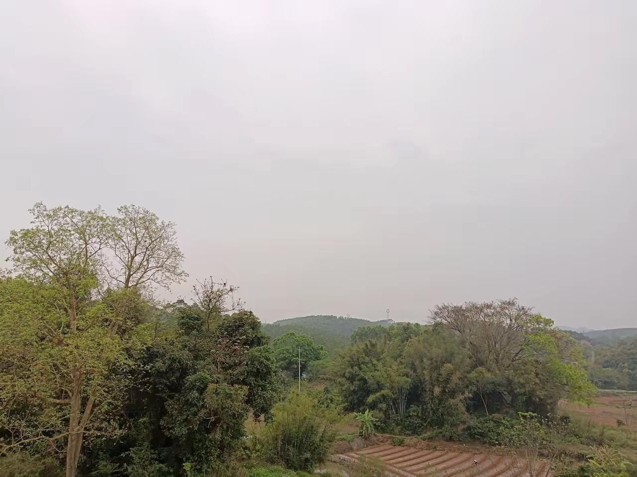 越长大越孤单，越怀念小时候的时光