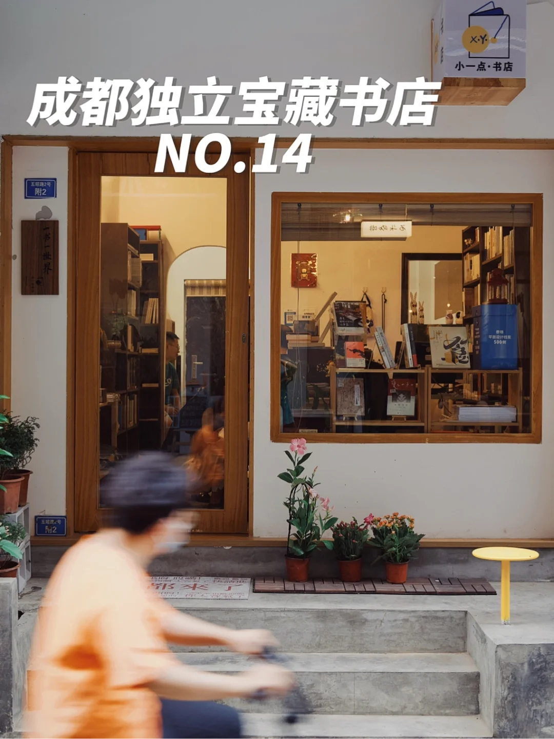 成都新店丨小一点的书店📚多一点的收获