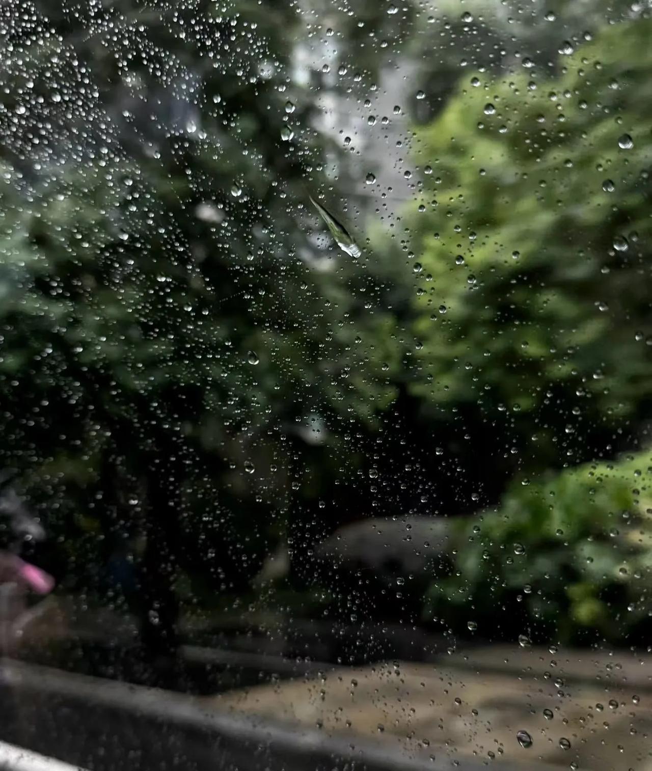 晒图笔记大赛春雨漫过街巷，繁花沾着细雨依偎楼前，枝头橙果凝着水珠。老水塔静立烟雨