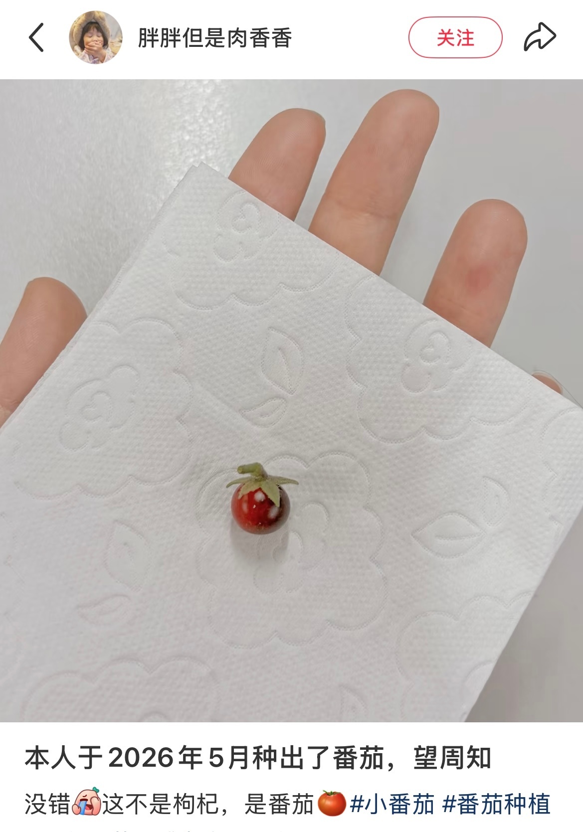 芭莎盛典红毯果然不是每个中国人都会种菜🤣👌评论区的成果我都能一口气吃好几亩 