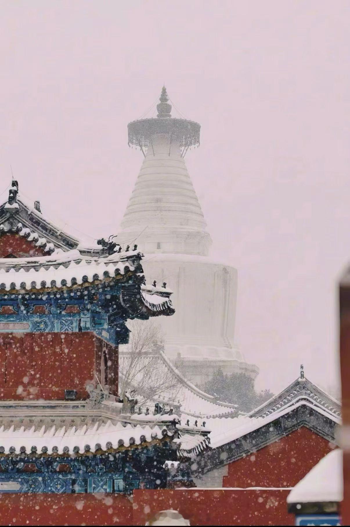 北京初雪北京下雪故宫 北京