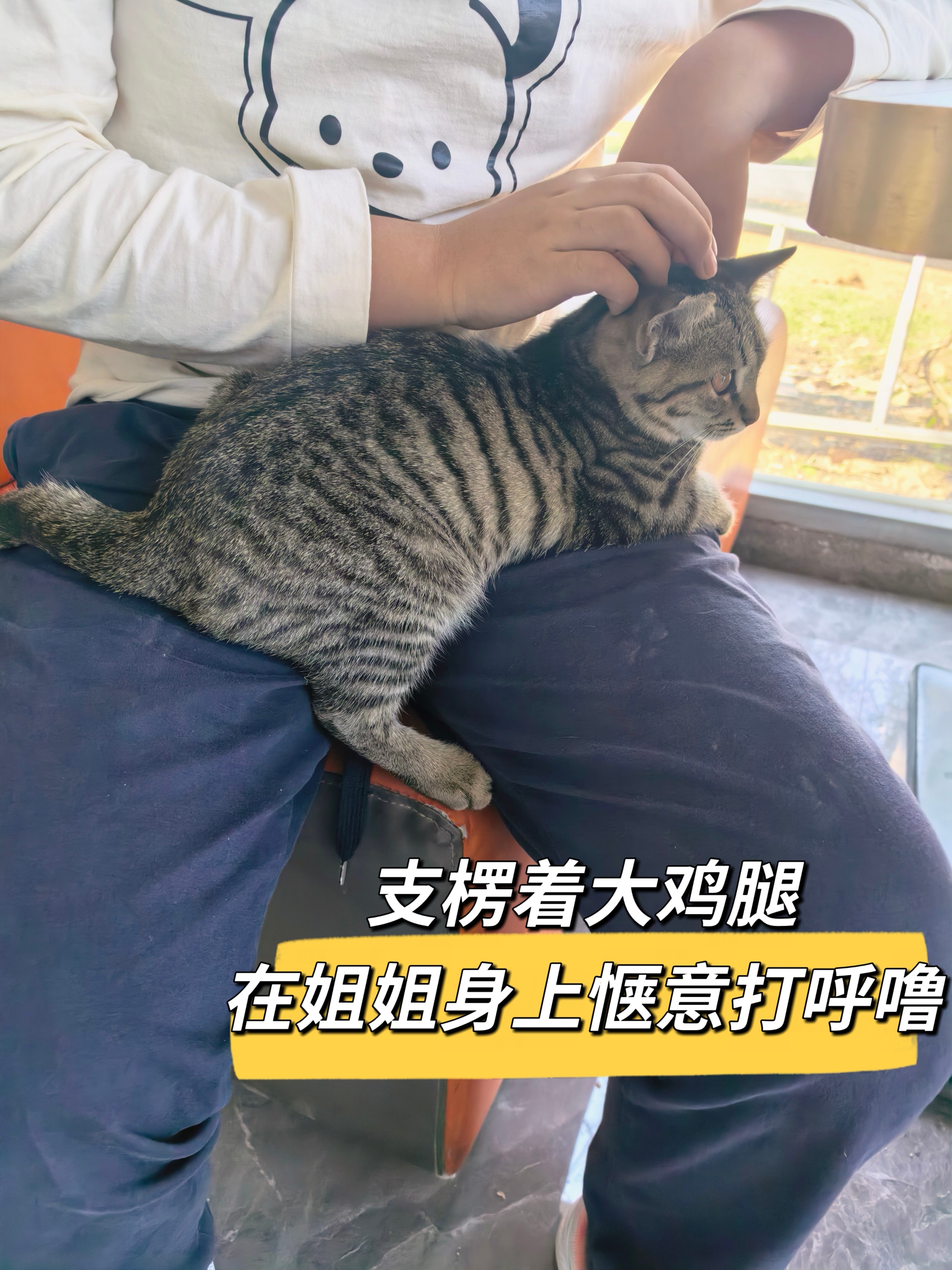 今儿带姐弟俩去新乡县的一个马场骑小马，可以说是非常划算了！除了价格很香~~每人能