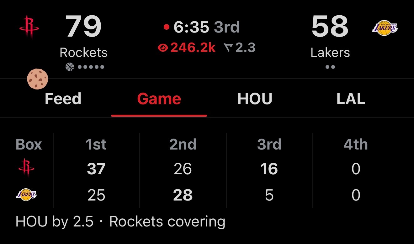 劫富济贫休斯顿