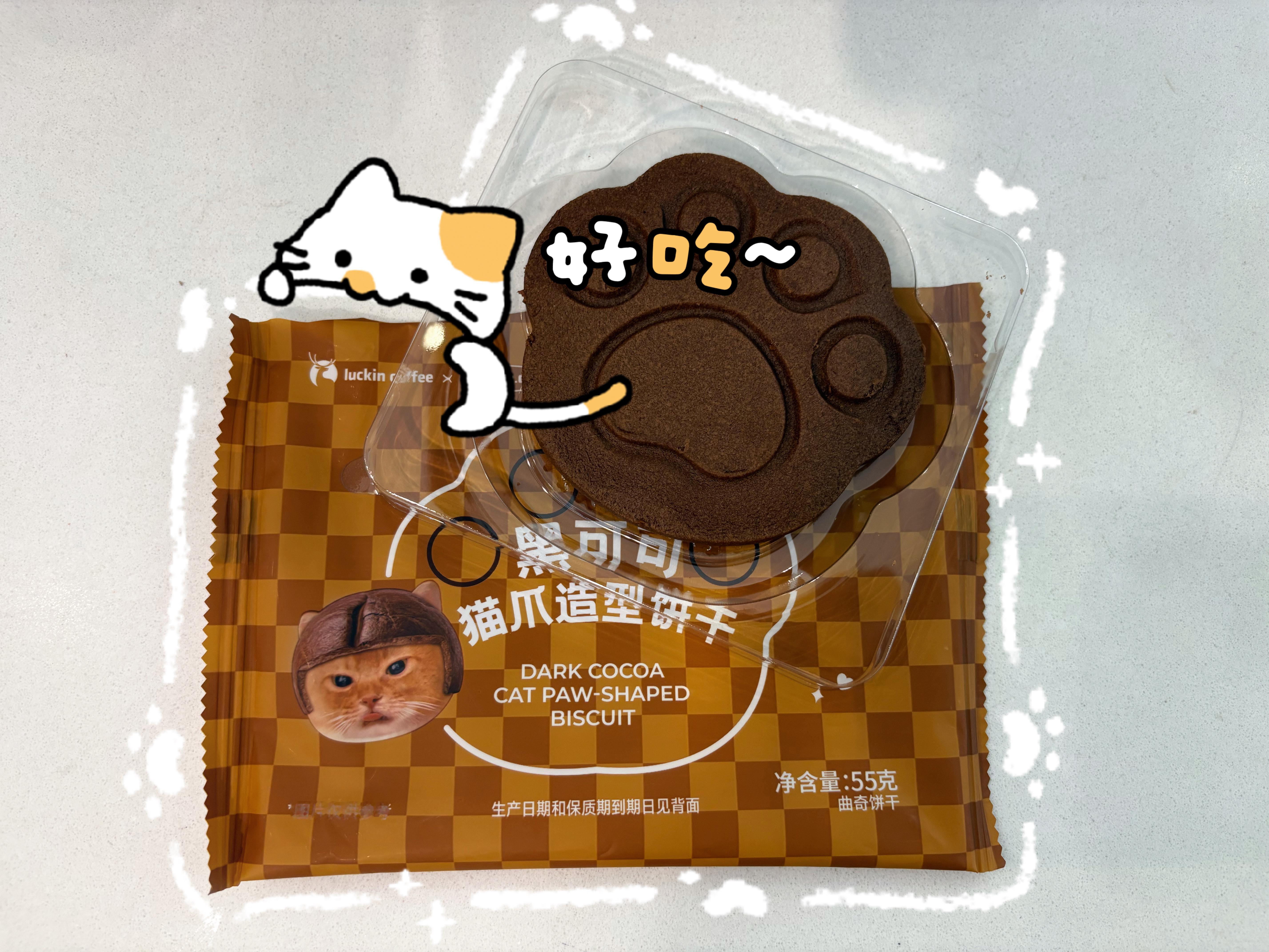 摸摸猫猫头 万事不用愁 
