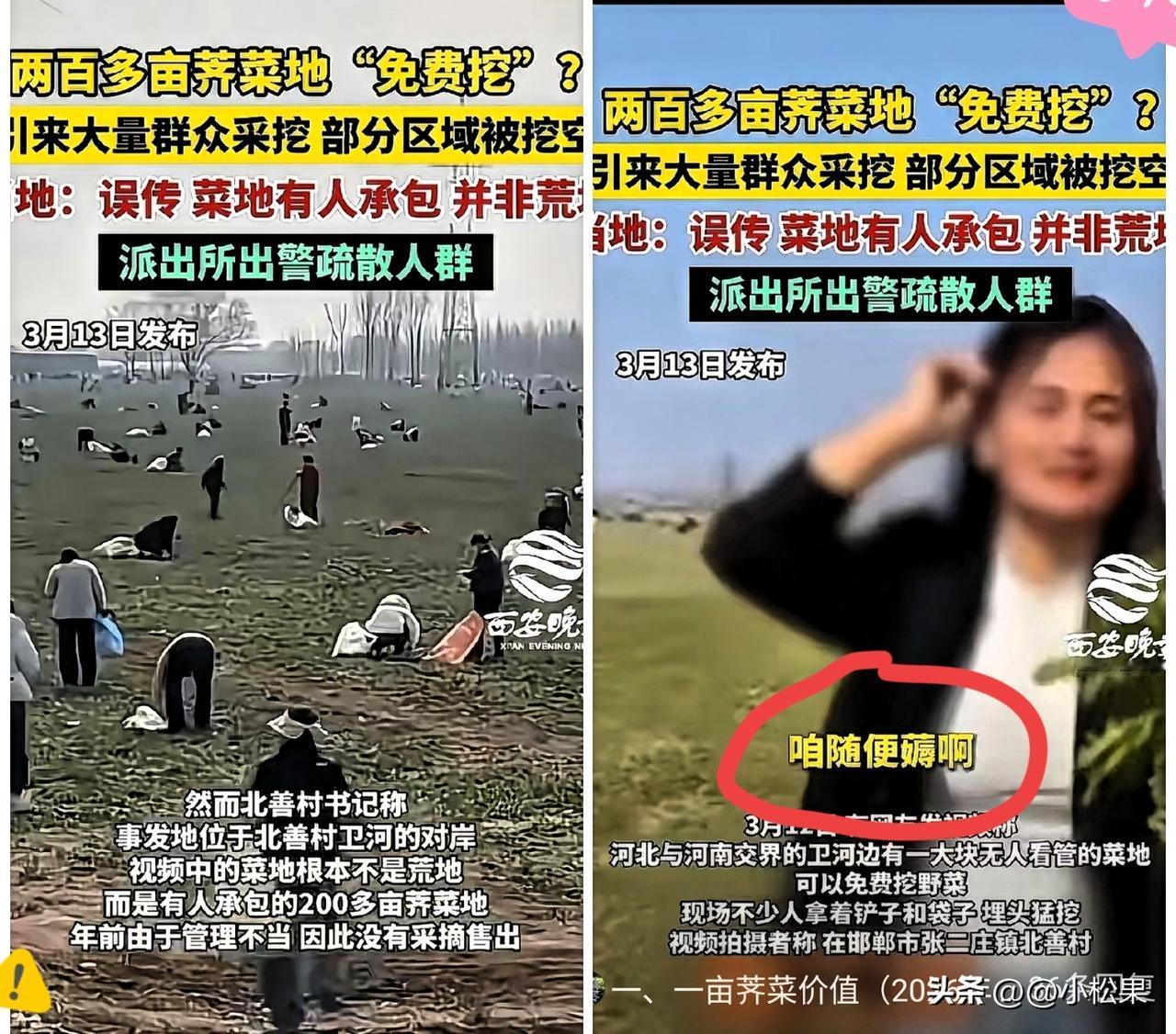 一句“免费随便挖”，竟把200亩承包地掀了底，河南这事儿彻底炸锅了！侯某某一句随