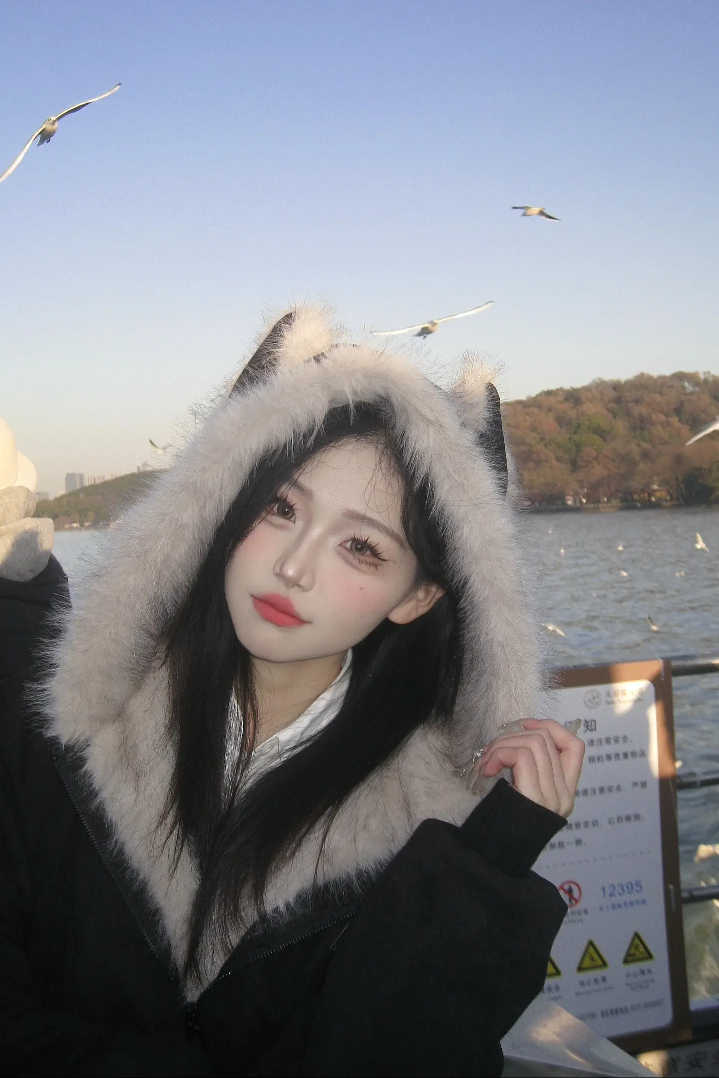 📷落日·海鸥🪶