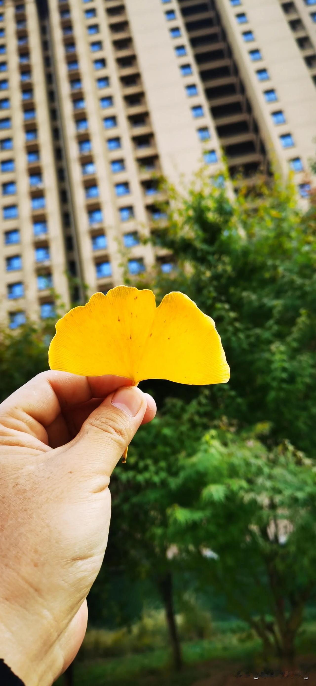 现在干点什么都是专业化了，我们好长时间不接触的行业现在都开始专业化，小的时候家里