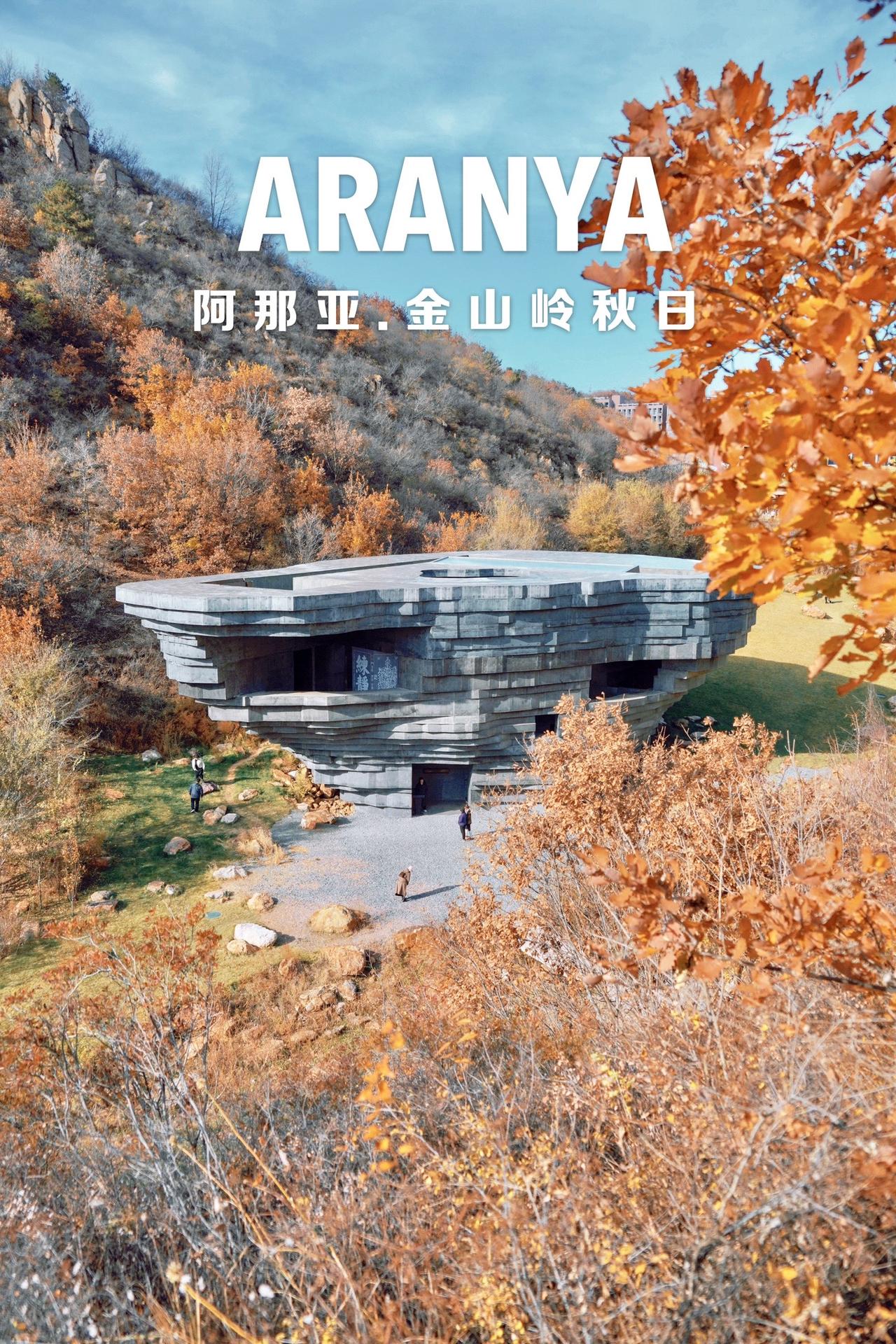 上周末的阿那亚金山岭真是欢乐的周末，2天1晚的金山岭秋景看了，和100只狗子们的