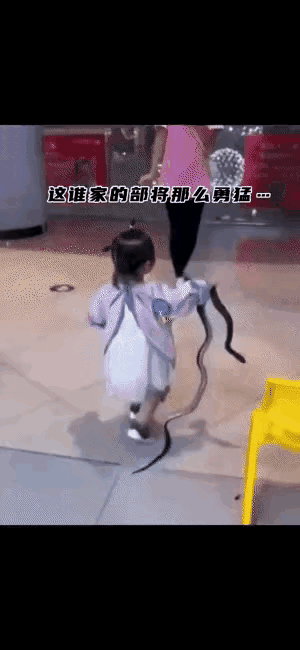 全家人都不敢做的事，被她做到了[灵光一闪]