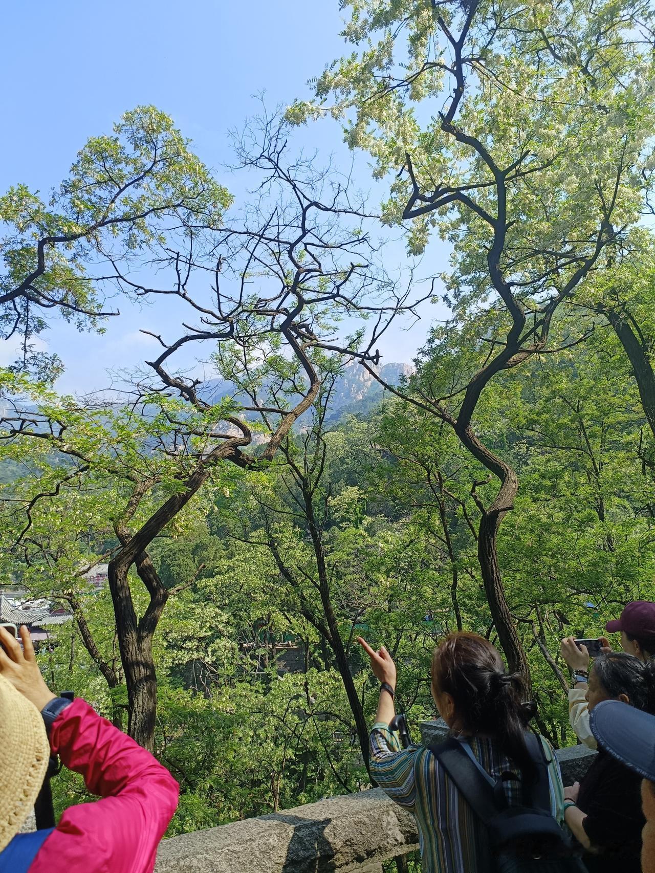如梦令-重走乡间小路

重走乡间小路，往事历历在目，儿时捉迷处，荒草应能藏兔。回
