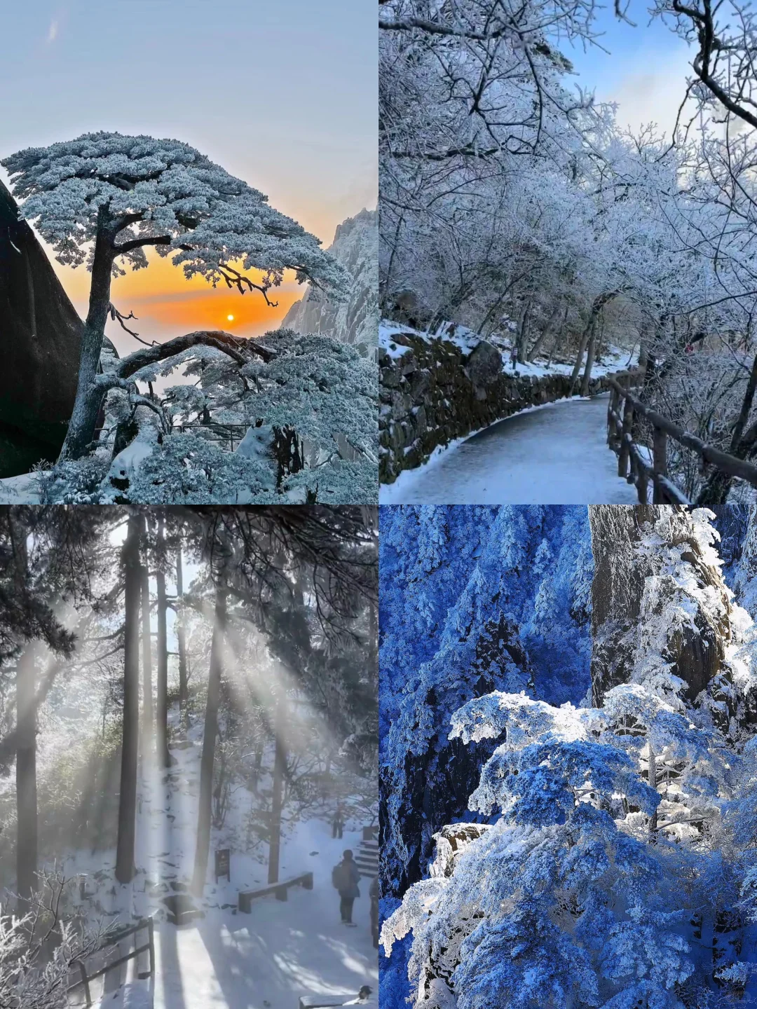 按往年马上黄山初雪来啦❗️附攻略，提前准备