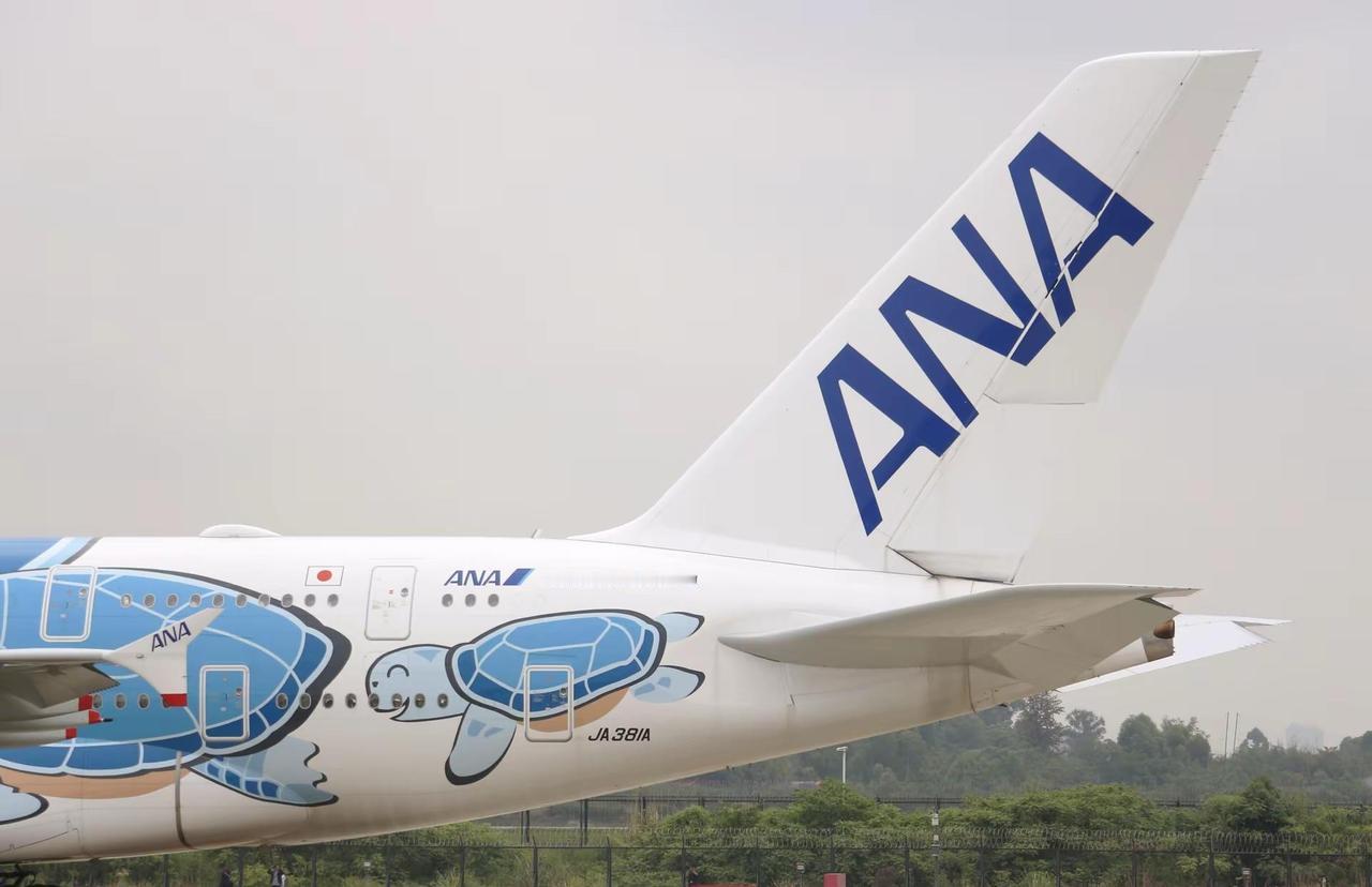 ANA蓝海龟 抵达CTU.成都双流机场迎来了定检的彩绘空客A380 全日空航空A