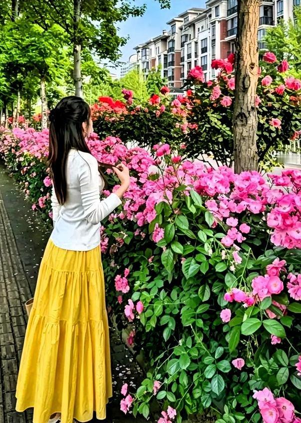 能遇见一份真心又难得的感情，真的特别不容易。感情从来不是顺其自然，是两个人用心经