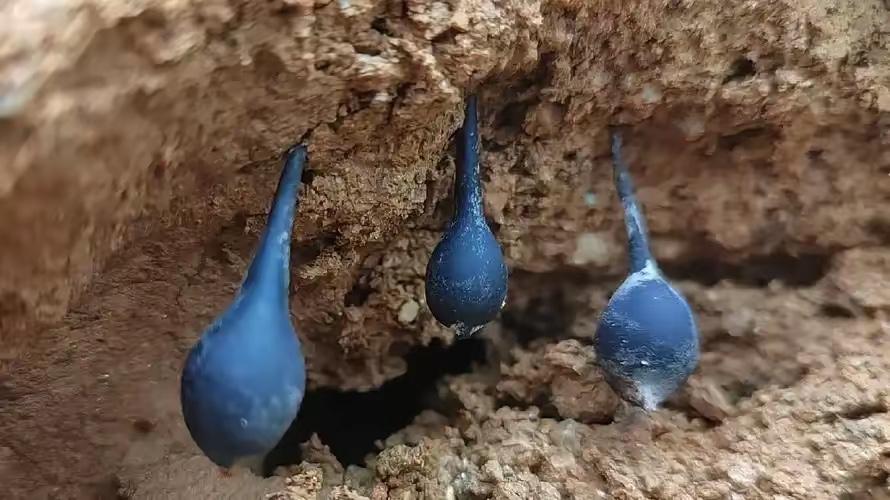 1月14日，四川达州一开挖掘机男子，在修路时意外挖出一个大坑，里面居然有大量乌灵