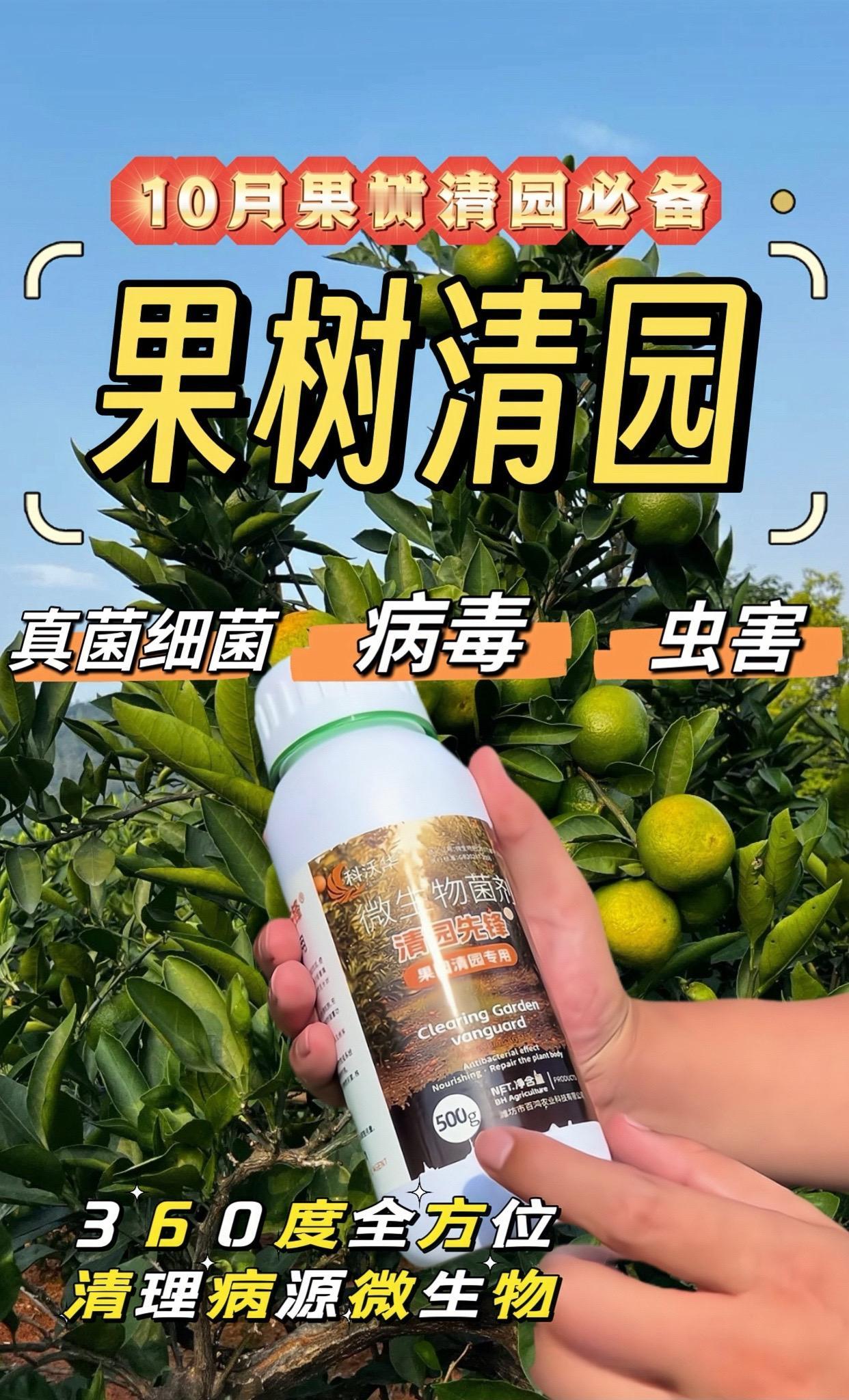 10月果树清园方案来啦!真菌细菌病虫害一次性搞定,降低种植成本,一亩不到两块钱!