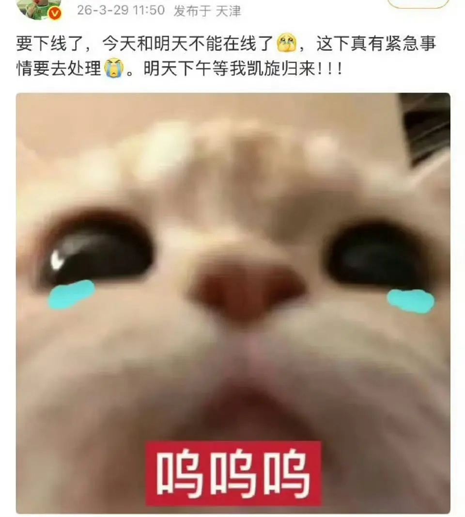 迪丽热巴粉这么快就走流程了，真的每部剧都差不多是这样 