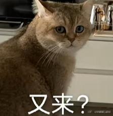 我知道有很多球迷很着急要把掘金打成裁判队。多7个罚球的队伍罪大恶极，多20几个的